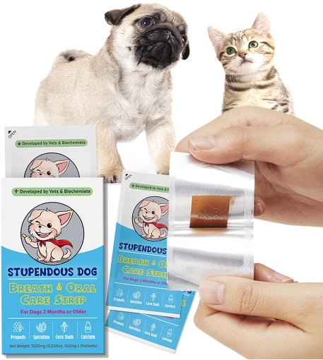 1724059915572021.jpg Disposable Dog Treats Oral Dissolving Film-1.jpg